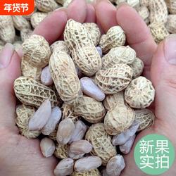 龙岩花生蒜香五香香酥原味盐水白晒咸干水煮花生米带壳炒货熟零食