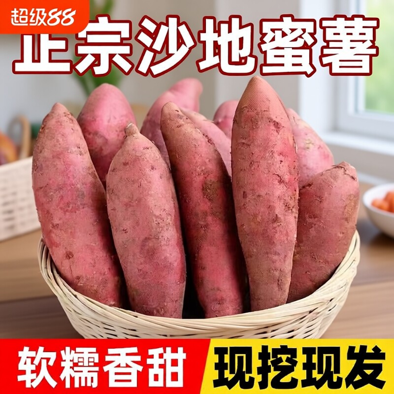沙地蜜薯黄心地瓜红薯现挖现发山芋超甜板栗番薯粉糯软糯香甜可口