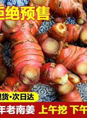 南姜潮汕野生山姜牛羊肉火锅卤味去膻提味调料南姜