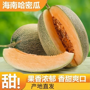 正宗哈密瓜9斤当季新鲜水果甜一整箱包邮现摘网纹瓜老汉瓜西州蜜