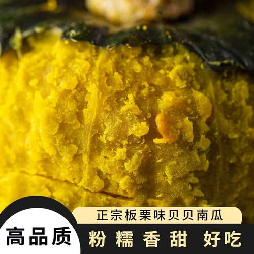 山东正宗惠和一号甜面板栗