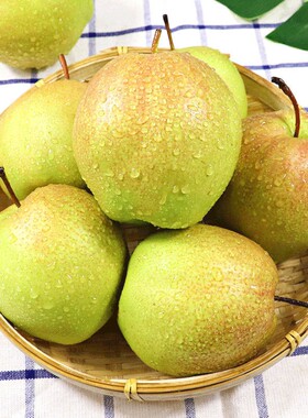 玉露香梨新鲜梨子山西运城脆梨当季现摘水果甜青梨包邮