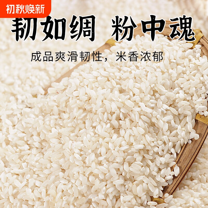 贵州桂朝米做凉虾皮云贵川米豆腐专用米贵朝大米便宜商用