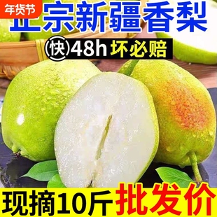【酥脆甜】正宗新疆香梨新鲜水果梨子红香酥梨源自库尔勒杂交品种