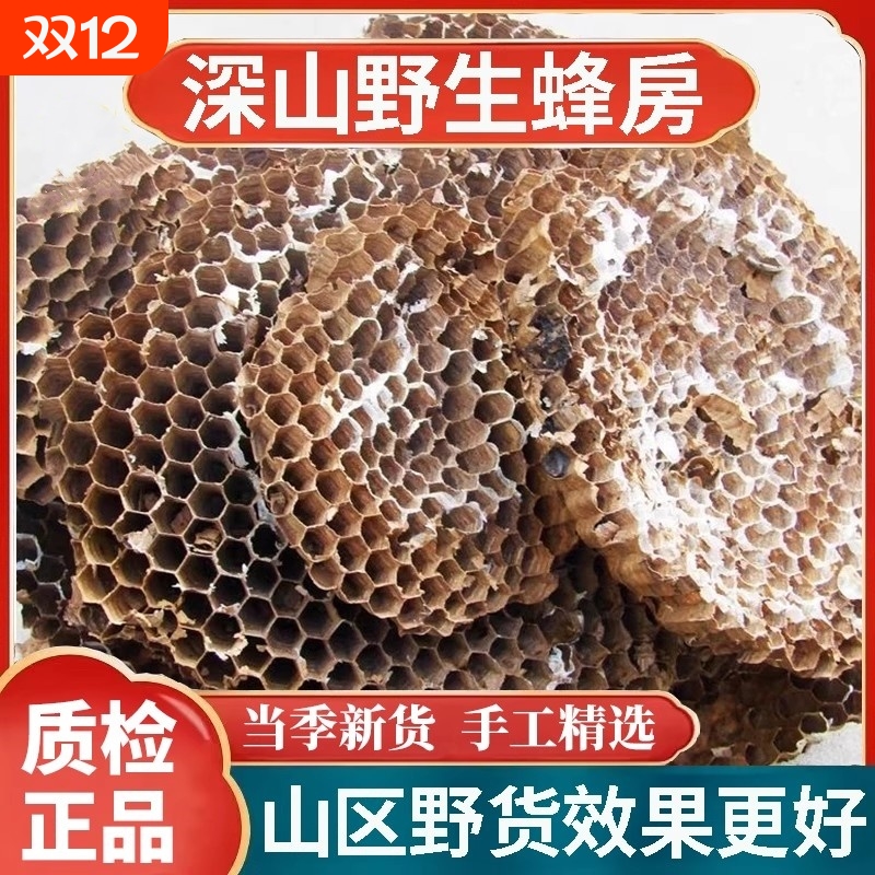 天然纯野生正品野蜂窝马蜂窝露蜂房黄蜂窝山蜂房老蜂巢中药材蜜蜂