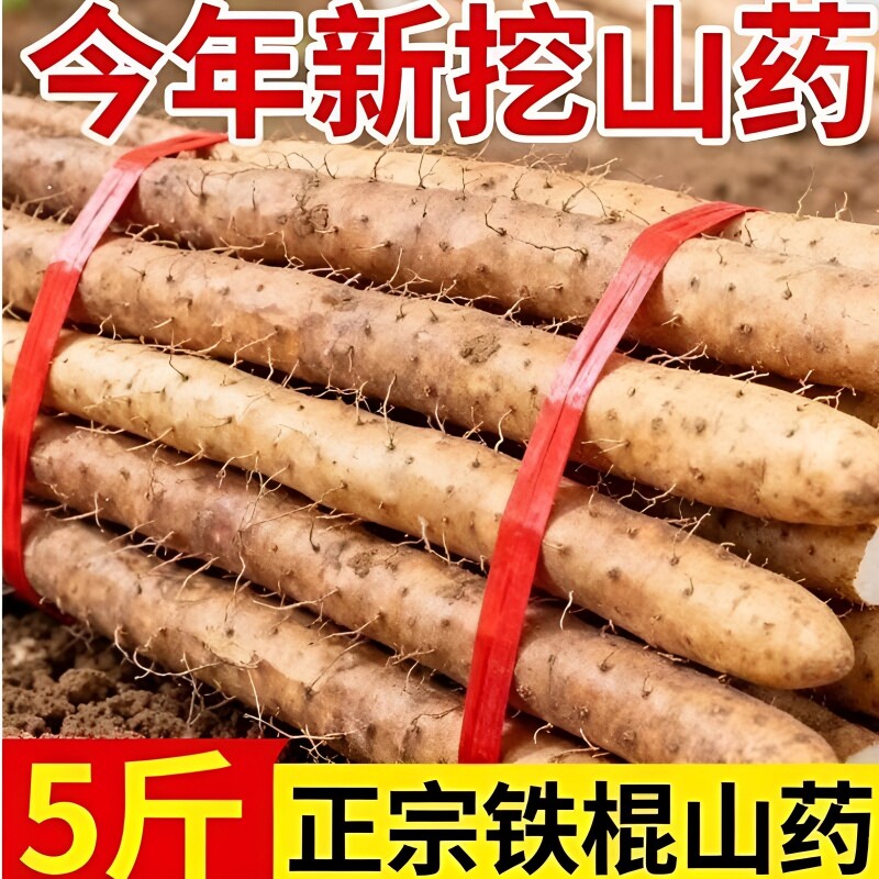 正宗小白嘴铁棍山药山药正宗新鲜当季现挖麻山药粉糯香甜宝宝辅食