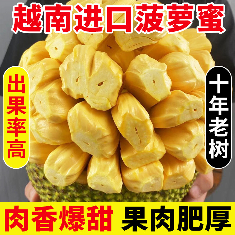 【生剥不赔】越南进口菠萝蜜新鲜水果黄肉菠萝蜜一整个水果包邮,水产肉类/新鲜蔬果/熟食,菠萝蜜,淘宝优惠券,粉丝福利购,淘宝优惠卷