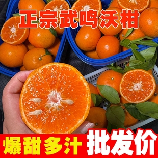 水果橘子当季 广西正宗武鸣沃柑新鲜桔子应季 非沙糖桔皇帝柑 补贴