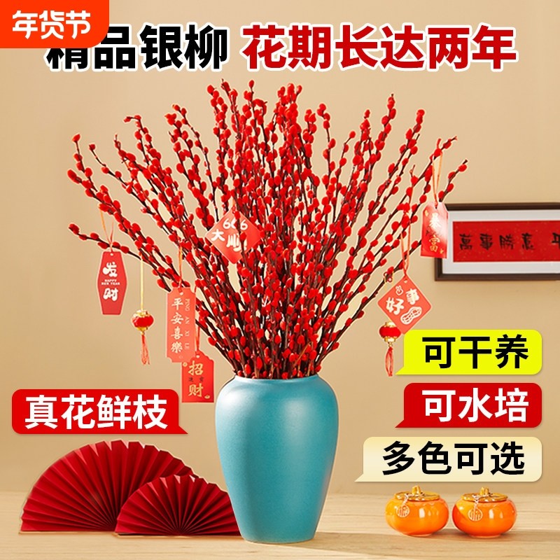 银柳真花鲜枝年宵花客厅摆件干花盆栽抱抱桶红色花卉干枝水培植物