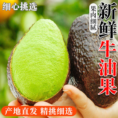 云南哈斯牛油果国产孟连奶油果鳄梨巨无霸当季即食新鲜水果整箱