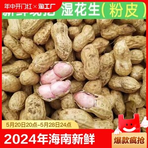 海南东方大田镇新鲜粉皮花生2024年新鲜湿花生带壳带泥粉皮花生