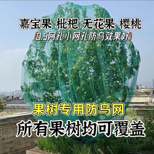 防鸟网罩果园果树防鸟罩嘉宝果樱桃葡萄阳台菜园围栏防护网养殖网