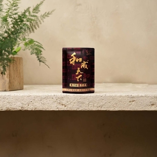 包邮 和成50元 海南新鲜青果槟榔口味槟榔厂价直销一件