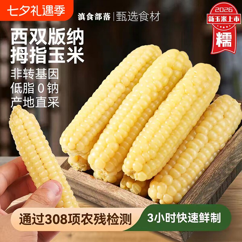 云南特产西双版纳香糯拇指玉米无添加健康手指宝宝辅食早餐真空
