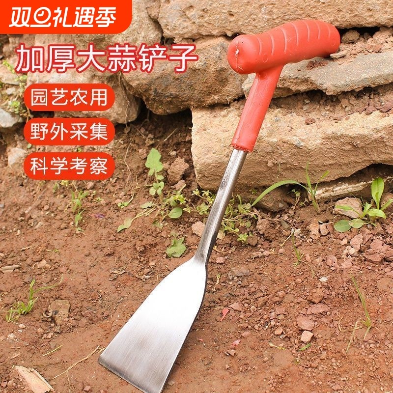德国荠菜野菜神器铲子铁铲园艺种花特快种菜除草工具挖土拔草户外