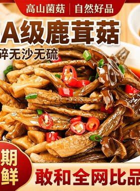 5A鹿茸菇干货500g云南特产脆姑蘑菇香菇脆脆菇类菌菇野生新鲜煲汤