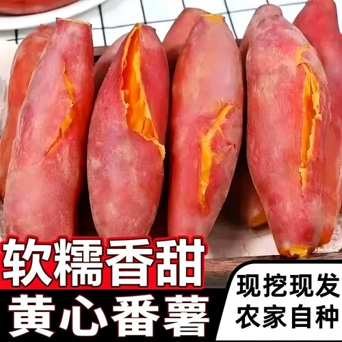 新鲜农家自种红薯沙地黄心蜜薯板栗小番烟薯糖心地瓜山芋香甜软糯