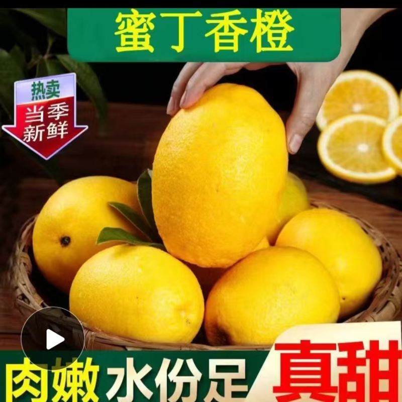 甜橙蜜丁香橙应季新鲜水果维C爆满正宗产地现发纯甜整箱现摘当季