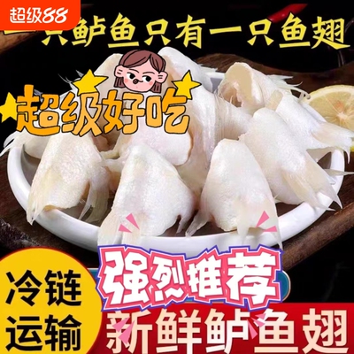 冷冻新鲜海鲈鱼翅新鲜