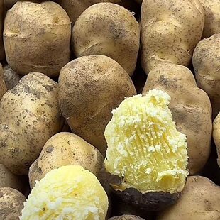 云南昭通大山黄心土豆新鲜食用农产品黄心土豆农家自种净重