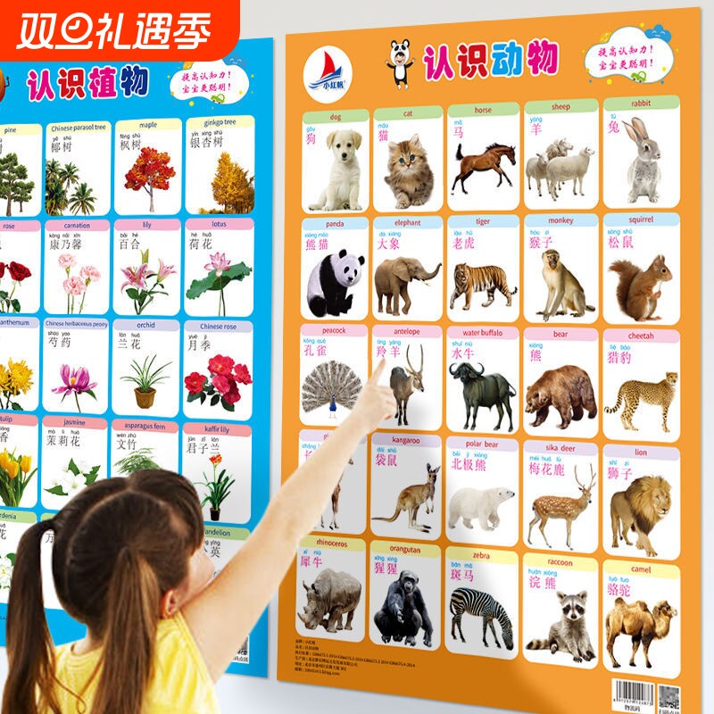 【官方正品】幼儿早教墙贴挂图3-7岁幼儿园拼音挂图蔬菜水果动物启蒙认知玩具3-7岁幼儿早教挂图蔬菜水果动植物启蒙认知学龄前教育