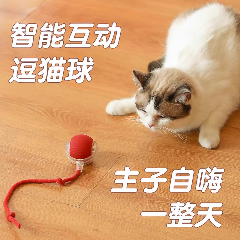 自动逗猫球猫咪玩具自嗨解闷神器智能逗猫棒溜猫充电款磨牙遛狗