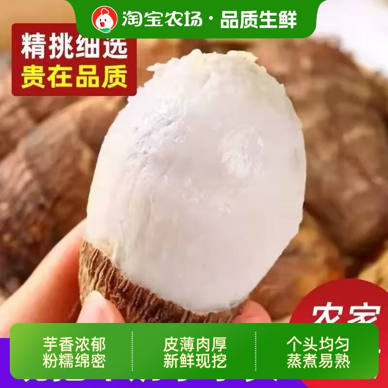 正宗农家牛奶小芋头仔5斤新鲜香芋粉糯软糯蒸煮即食次日自种