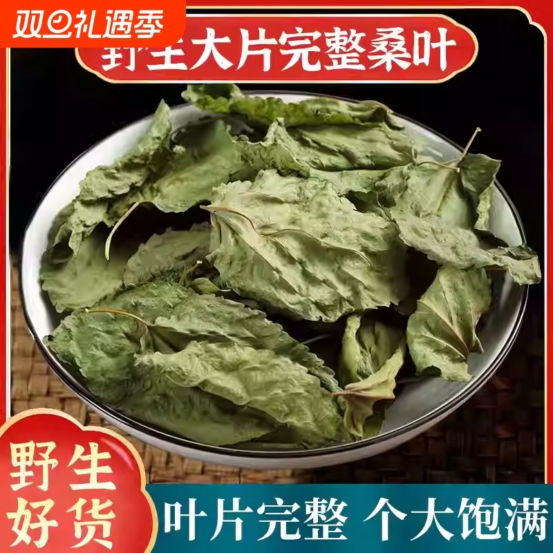 野生霜后桑叶中药材正品深山霜后新鲜干桑树叶霜打老桑叶泡茶泡水