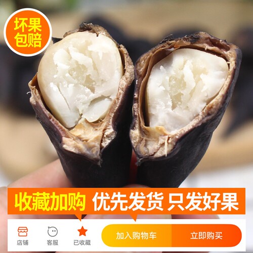2026年新鲜菱角老菱角洪湖现摘