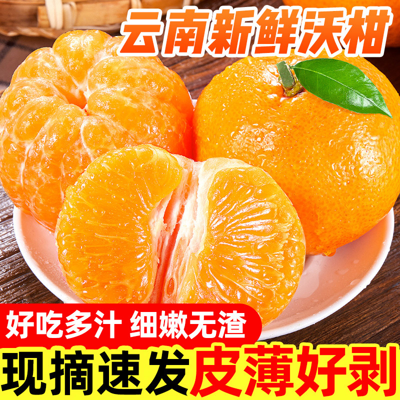 云南头茬沃柑新鲜应季水果皮薄桔子水果橘子整箱,水产肉类/新鲜蔬果/熟食,桔子,淘宝优惠券,粉丝福利购,淘宝优惠卷