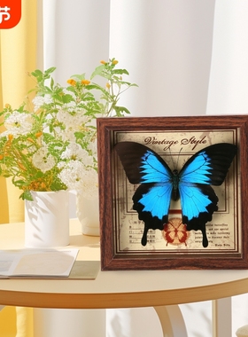 天堂翠凤蝶标本相框真蝴蝶DIY摆台装饰生日礼物礼品桌面绿带客厅