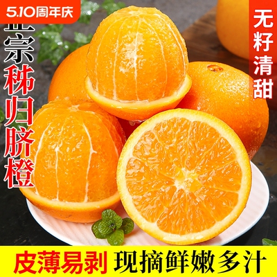 整箱包邮脐橙果园直发爆甜多汁