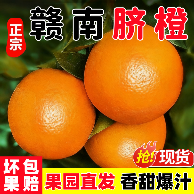 江西赣南脐橙原产地直发江西