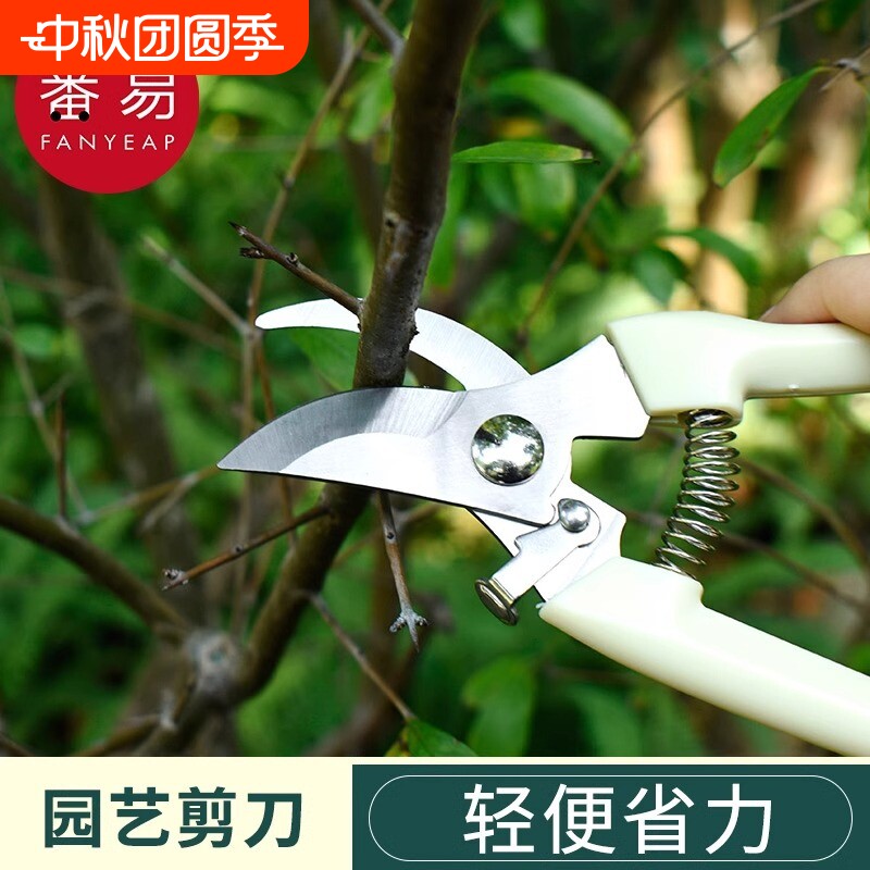剪刀/园艺B1pn700-修枝剪树枝花卉修花菜地园林采摘水果树家用省图片
