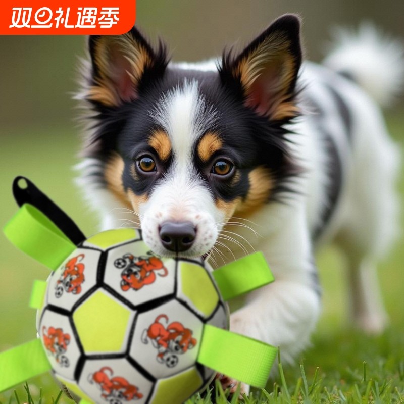 狗玩具球柯基耐咬解闷球拉布拉多专用足球自嗨狗玩具宠物用品巡回