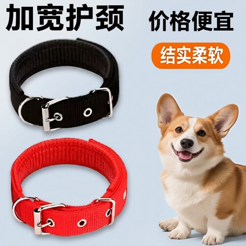 狗狗防挣脱脖圈|超3000次加购