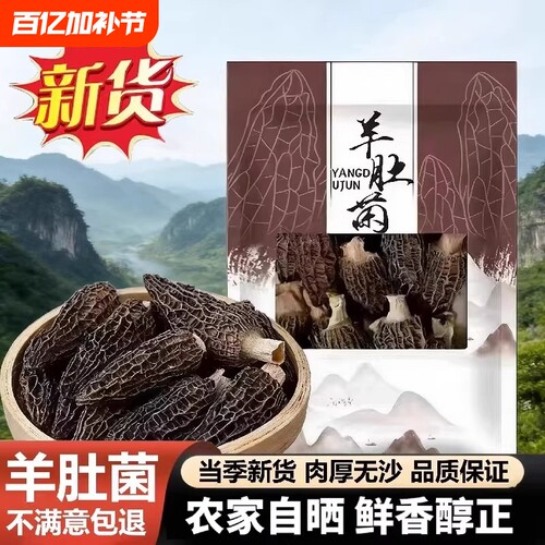 【果官宣】头茬羊肚菌新鲜干货肉厚菌菇夏季煲汤食材老人滋补