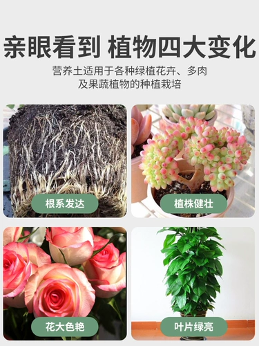 Питательный цветок