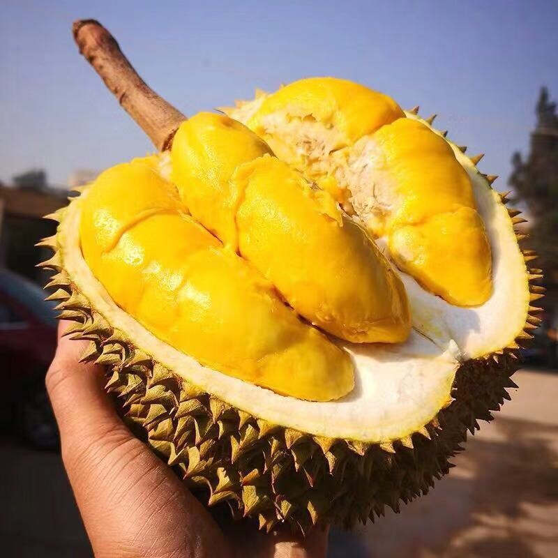 正宗泰国鲜榴莲树熟带壳一整颗鲜果整果干包核小香甜软糯顺丰包邮