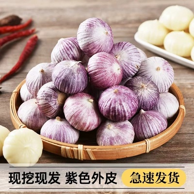 紫皮独头蒜新鲜干蒜头独蒜干蒜湿大蒜头批发农家自提