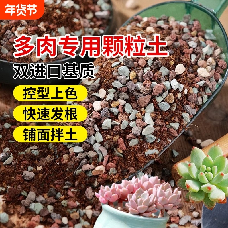 多肉营养土颗粒专用栽培土养花通用型泥炭植物花土种植扦插土壤,鲜花速递/花卉仿真/绿植园艺,介质/营养土,淘宝优惠券,粉丝福利购,淘宝优惠卷