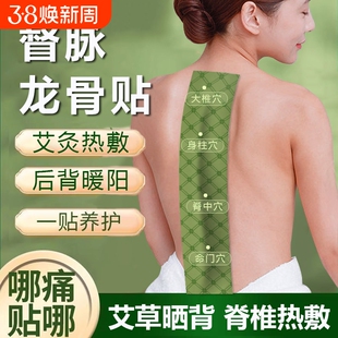 督脉龙骨艾灸贴凤脉带脉贴膝盖脊柱脊椎热敷贴艾草晒背部后背神器