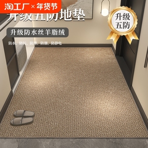 地垫入户门进门地毯门口家用门垫防滑客厅轻奢高级玄关脚垫可裁剪
