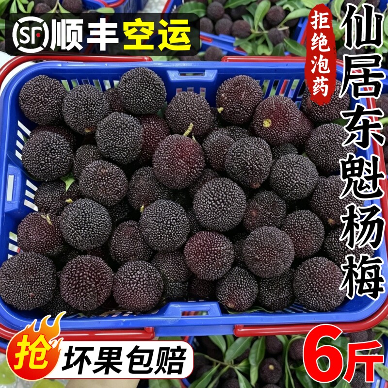 大杨梅现货顺丰仙居东魁杨梅鲜果6斤新鲜水果当季现摘大果整箱