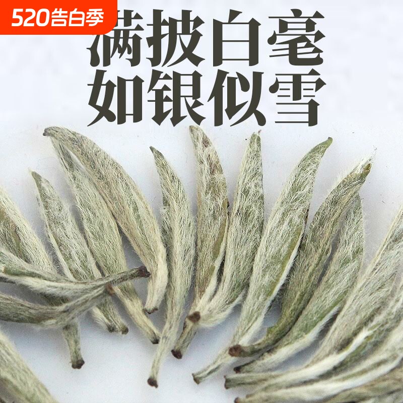 福鼎高山白茶特白毫银针2026新茶高山荒野明前头采嫩芽白银针25