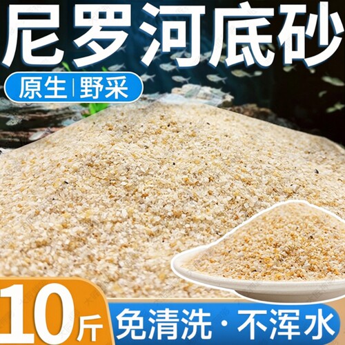 尼罗河免洗河沙|超2000次加购