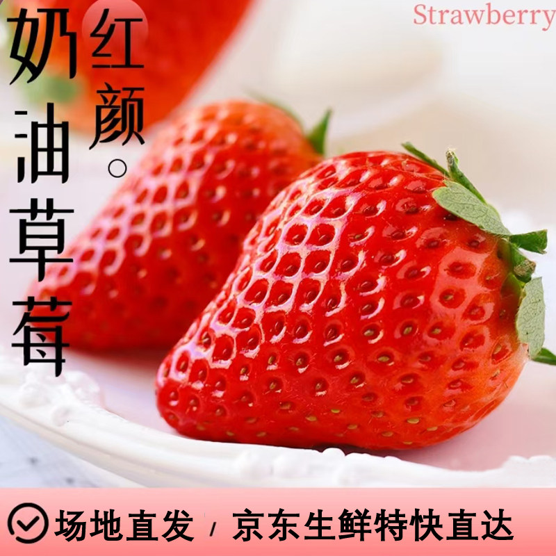 【京东直达】红颜奶油草莓水果草莓新鲜水果应季冬日香甜草莓送礼,水产肉类/新鲜蔬果/熟食,草莓,淘宝优惠券,粉丝福利购,淘宝优惠卷
