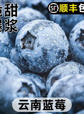 云南蓝莓新鲜水果当季鲜果现摘L25花香高山孕妇整箱顺丰京东包邮