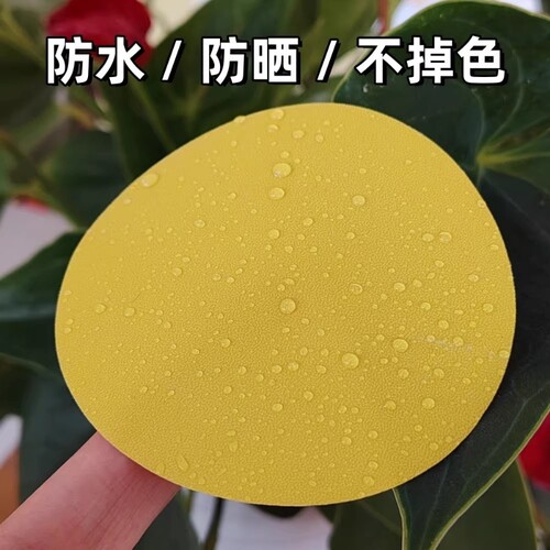防水耐磨多色圆形定位贴