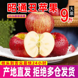 包邮 云南昭通市丑苹果红露水果新鲜整箱当季 9斤富士糖心苹果绍通